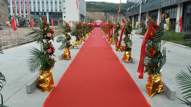 Ȩ���������ڷ��